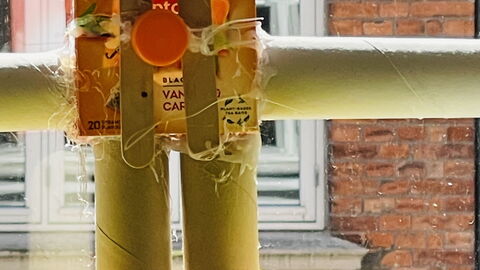 Nørrebro At The Lakes: Værelsesoplysninger