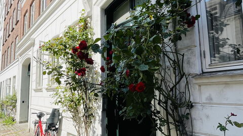 Nørrebro At The Lakes: Udvendige