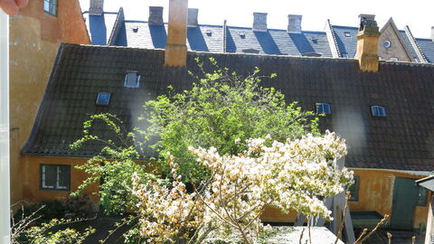 Center - Studio - Close To The King: Udendørs