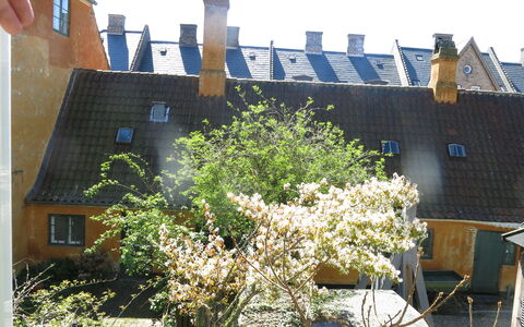 Center - Studio - Close To The King: Udendørs