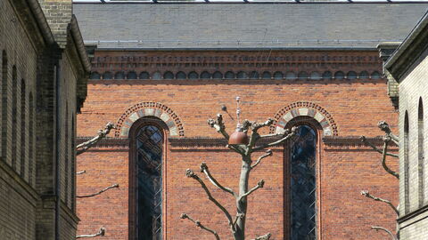 Center - Studio - Close To The King: Udendørs