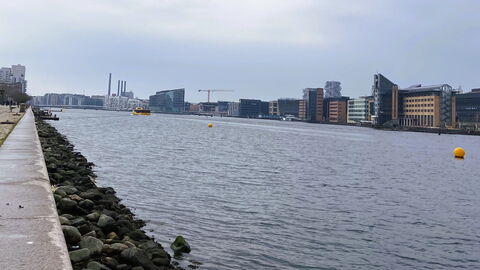 Islands Brygge - 4 People: Udendørs