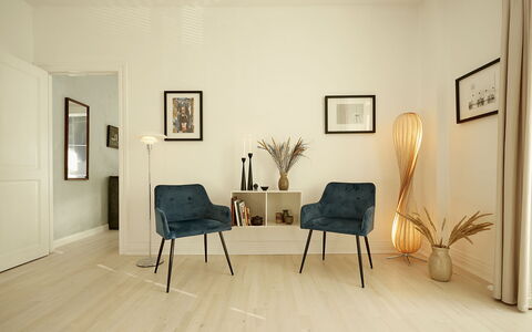 Frederiksberg - 2 Bedrooms: Stue