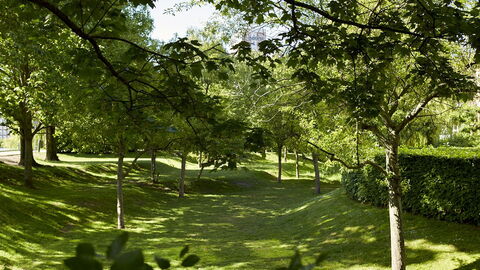 Frederiksberg - 2 Bedrooms: Udendørs