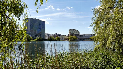 Frederiksberg - 2 Bedrooms: Udendørs