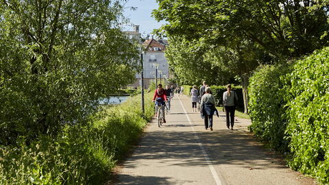 Frederiksberg - 2 Bedrooms: Udendørs