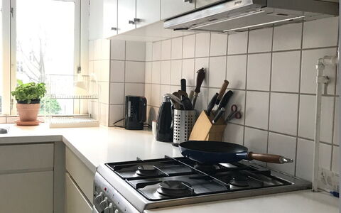 Vesterbro - 2 Bedrooms - Close Tivoli: Køkken