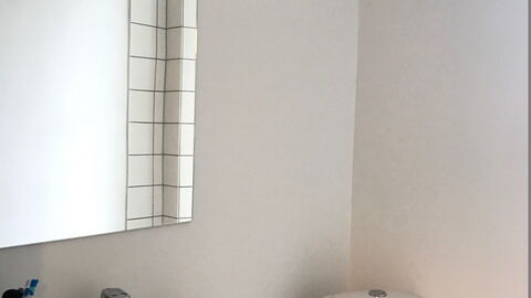 Vesterbro - 2 Bedrooms - Close Tivoli: Badeværelse