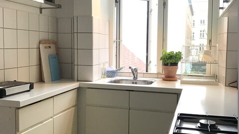 Vesterbro - 2 Bedrooms - Close Tivoli: Køkken