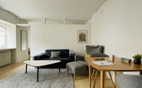 Center - Close To Nyhavn - 2 People: Stue