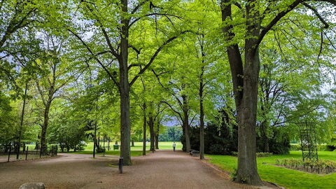 Østerbro - Studio - Cozyness: Udendørs
