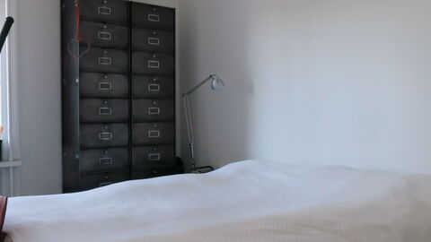 Copenhagen Lakes - 2 Bedrooms: soveværelse