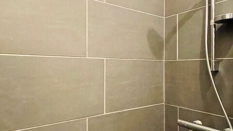 Østerbro - 1 Bedroom Apartment: Badeværelse