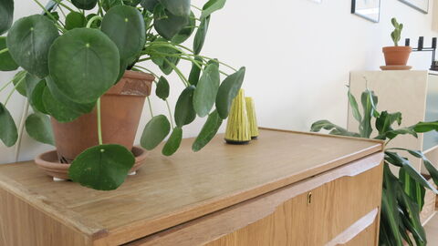 Amager - Perfect For Family With Children: Værelsesoplysninger