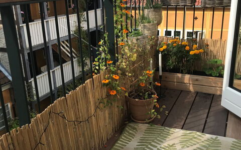 Center - Close To The King: Altan / terrasse / gårdhave