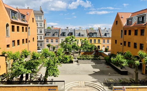 Center - Close To The King: Udendørs, Visninger
