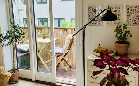 Center - Close To The King: Altan / terrasse / gårdhave, Værelsesoplysninger