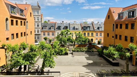 Center - Close To The King: Udendørs, Visninger