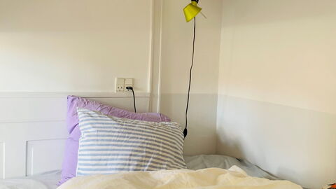 Center - Close To The Royal Palace: soveværelse