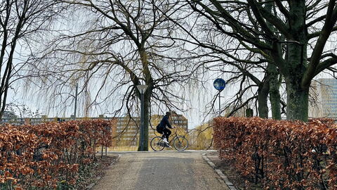 Frederiksberg - 3 Bedrooms - Space For 5: Udendørs