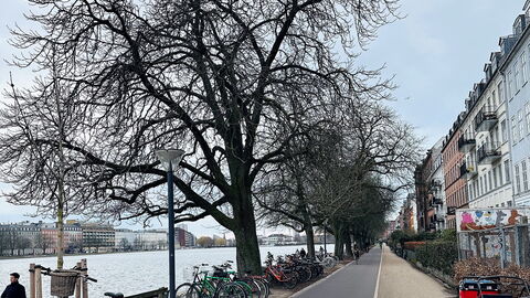 Cozy Area - Super Location - Balcony: Udendørs