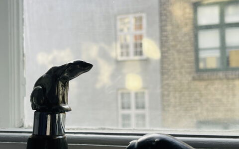 Center-inner City-2 Bedrooms-close To Everything