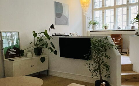 Hellerup - Close To Hellerup Station - 4 People: Stue