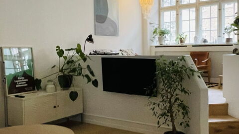 Hellerup - Close To Hellerup Station - 4 People: Stue