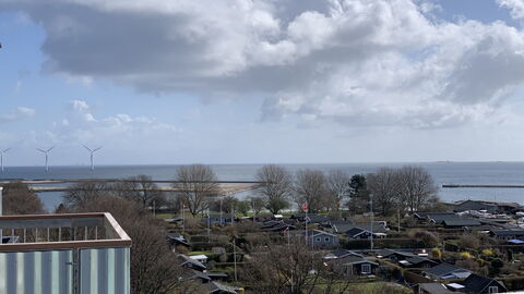Amager Strandvej - Close To The Beach: Altan / terrasse / gårdhave, Udendørs