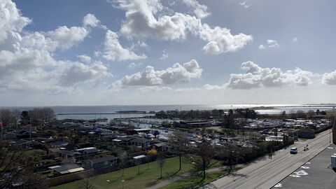 Amager Strandvej - Close To The Beach: Altan / terrasse / gårdhave, Udendørs