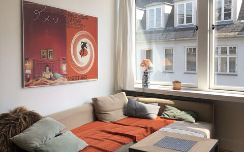 Købmagergade - Copenhagen Downtown: Stue