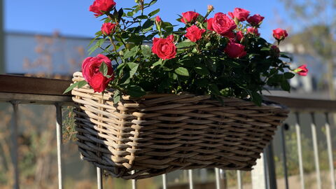 2 Bedrooms - 5 People - Close To Metro: Altan / terrasse / gårdhave, Udendørs