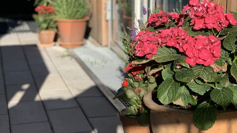 2 Bedrooms - 5 People - Close To Metro: Altan / terrasse / gårdhave, Udendørs