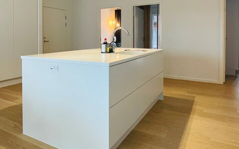 Nordhavn - Habour - 3 Bedrooms - 5 People: Køkken