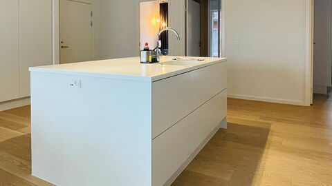 Nordhavn - Habour - 3 Bedrooms - 5 People: Køkken