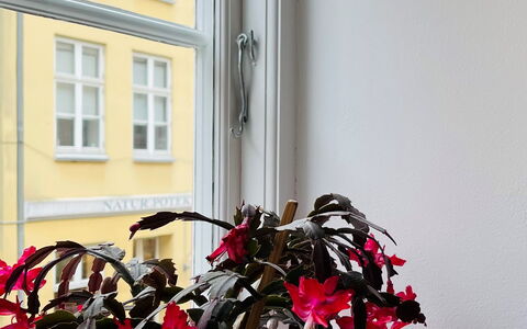 Close To Tivoli - 1 Bedroom - 4 People: Værelsesoplysninger