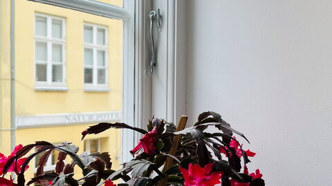 Close To Tivoli - 1 Bedroom - 4 People: Værelsesoplysninger