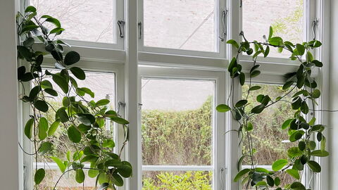 Close To Tivoli - 1 Bedroom - 4 People: Værelsesoplysninger