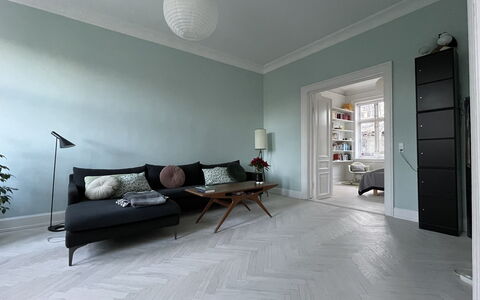 Frederiksberg - 3 Bedrooms - 2 Bathrooms - 5 Peopl: Stue