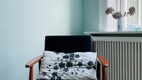 Frederiksberg - 3 Bedrooms - 2 Bathrooms - 5 Peopl: Stue