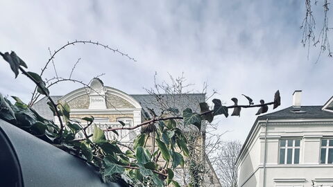 Frederiksberg - 3 Bedrooms - 2 Bathrooms - 5 Peopl: Udvendige