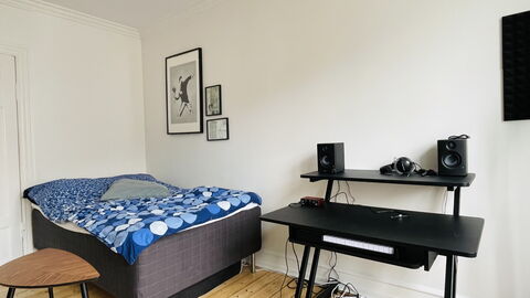 Cozyness - Vintage Apartment At Nørrebro: soveværelse