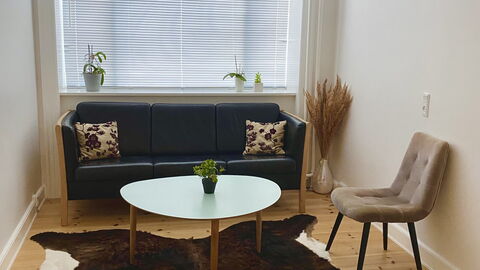 3 Bedrooms - 6 People - Østerbro: Stue