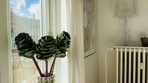 Østerbro - 1 Bedroom - 2 People: Stue, Værelsesoplysninger