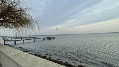 Luxury - Beach -hellerup - 8 People: Udendørs