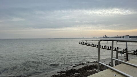 Luxury - Beach -hellerup - 8 People: Udendørs