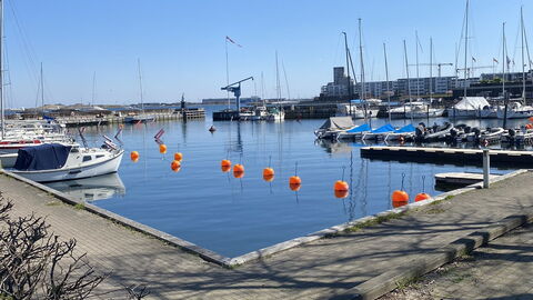 Luxury - Beach -hellerup - 8 People: Udendørs