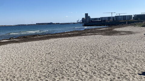 Luxury - Beach -hellerup - 8 People: Udendørs