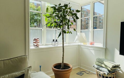 Østerbro - 3 Bedroom - 4 People: Værelsesoplysninger