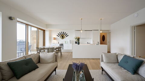 Exclusive- Center - 2br 2 Bath - Nyhavn - Min. 30 Days: Frokostlokale, Køkken, Stue